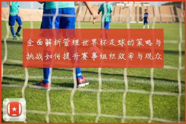全面解析管理世界杯足球的策略与挑战如何提升赛事组织效率与观众体验