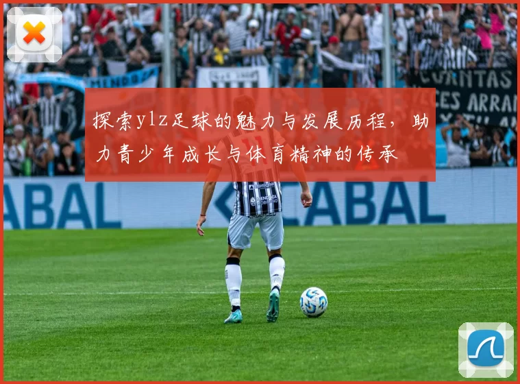 探索ylz足球的魅力与发展历程，助力青少年成长与体育精神的传承
